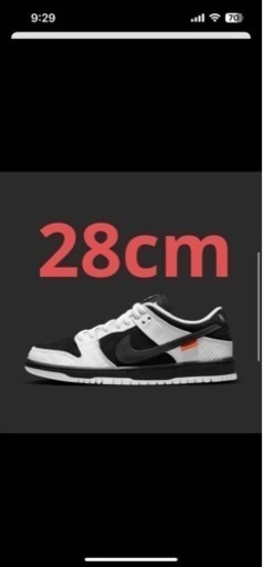 TIGHTBOOTH × SB DUNK LOW PRO 28cm