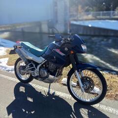 KLE250アネーロの画像