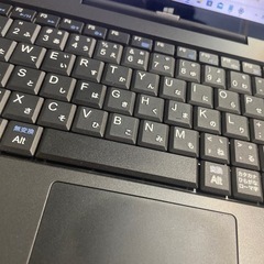 日本語、ポルトガル語、スペイン語の通訳