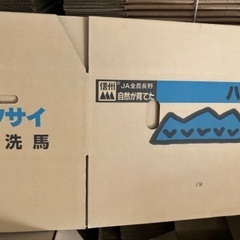 白菜段ボールの画像