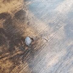 傷あり　ニトリコタツの画像