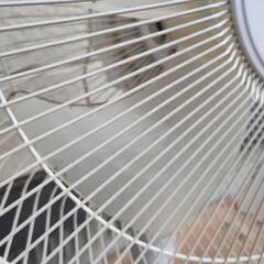 【2017年製】扇風機の画像