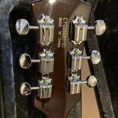 Gretsch Electromatic G5236 Projetの画像