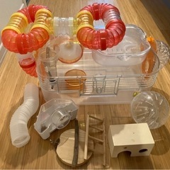 【決まりました】ハムスター ケージ ルックルックフォーチュン Ｄ