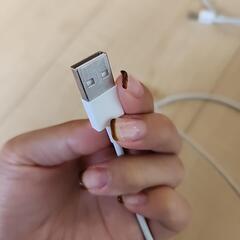 【iPhone充電器】まとめ売り　バラ売り可能　ライトニングとtypecの画像