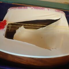 三味線（しゃみせん）『破損品 皮のみ』あとは素晴らしい❗の画像