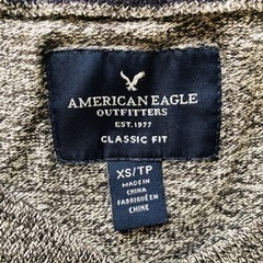 アメリカンイーグルのＶネックニット　
の画像