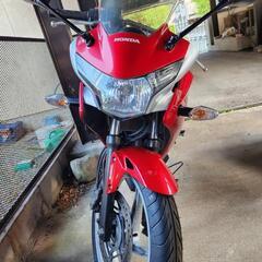 「決まりました」CBR250R-2015年式の画像
