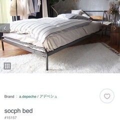 観葉植物🪴に合うシンプルベットの画像