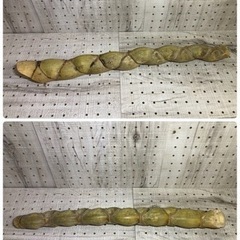 ⭐️⭐️希少‼️亀甲竹‼️天然物‼️⭐️⭐️②
