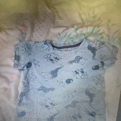 Tシャツ動物柄
