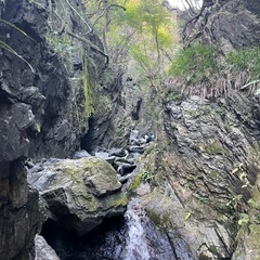 とうきょう✨登山部⛰️ - 世田谷区