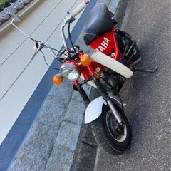 チャッピー50