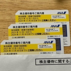 ANA株主優待3枚（〜2024/11/30）