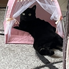 下半身麻痺ですが元気です