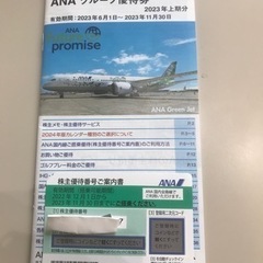 ANA株主優待