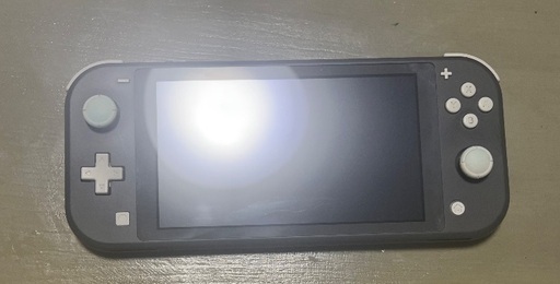 Switch lite【動作確認済】