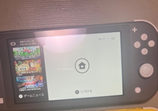Switch lite【動作確認済】