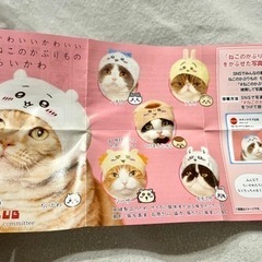 【取引中】ちいかわ　ねこのかぶりものの画像