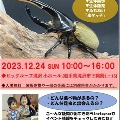 昆虫×子ども食堂イベント
