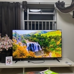 Hisense 50E65G  年製2023: テレビ50インチ...