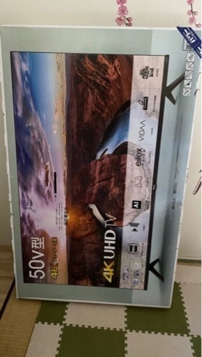 Hisense 50E65G  年製2023: テレビ50インチ+テレビ+胡蝶蘭の造花+テーブルです