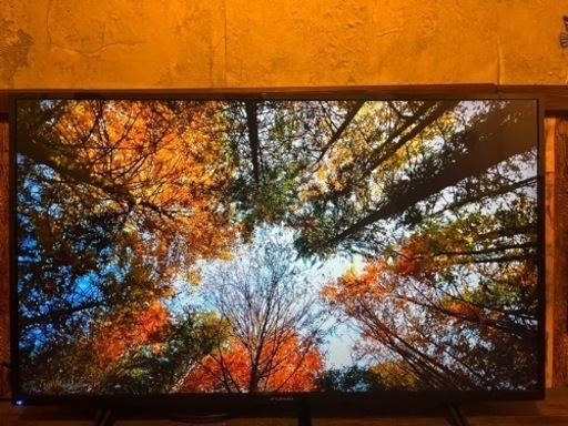 【FUNAI43インチ】　2021年製テレビ