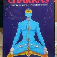 CHAKRAS インドの本
