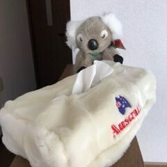 コアラのティッシュボックスカバー
