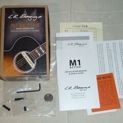Ibanez Artwoodギター・L.R.BAGGS M-1 Active・ローランドアンプ・シールド付きの画像