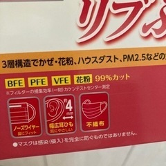 マスク　250枚　小さめの画像