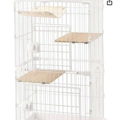 保護猫