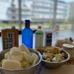【清澄白河駅徒歩3分】11/21ミネラル麹ワークショップの画像