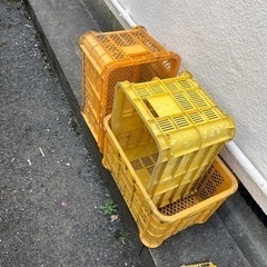 みかん箱四つと一升瓶ケース二つ　引き取り頂ける方