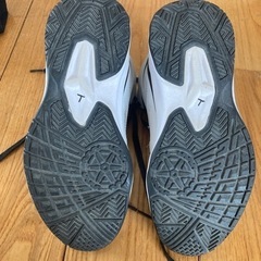 TIGORAバスケットシューズの画像