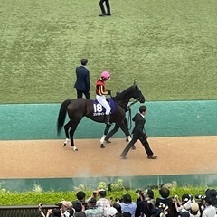 競馬でつながろ〜🎵 - メンバー募集
