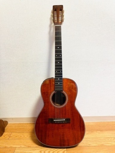 Takamine / PT-406  専用ハードケース付き