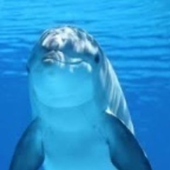 仕事辞めたい方つらい方のご相談に乗ります。5分500円〜