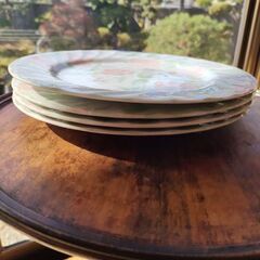 Made inJapan　kakamuの大皿５枚セットWild Flower by KAKAMUの画像