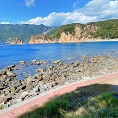 マリンスポーツやってみたかった人 - 品川区