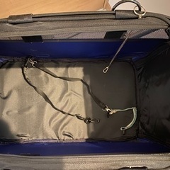 カルソニック ペットセーフティーカー青の画像
