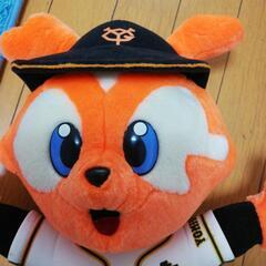 大きい人形ジャイアン555　Giants555の画像