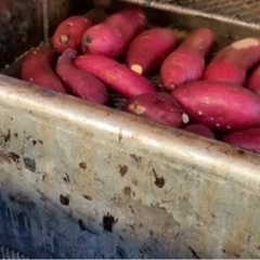 焼き芋釜·師匠を探しております🍠࿐