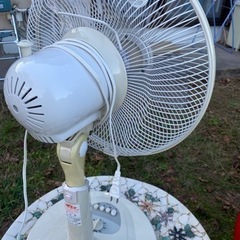 【綺麗な扇風機です】の画像