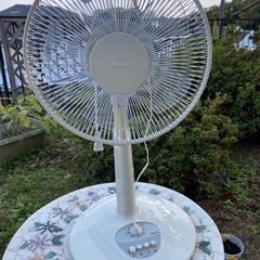 【綺麗な扇風機です】