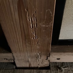 【格安】シロアリ駆除やってます✨ - 千葉市