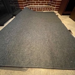 ナショナル　備長炭ホットカーペット