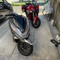 PCX125  の画像