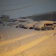北区限定〰️スポット除▪排雪‼️ - 便利屋