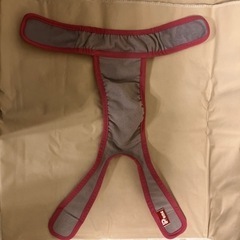 (お譲り先決定)犬女の子オムツカバーS